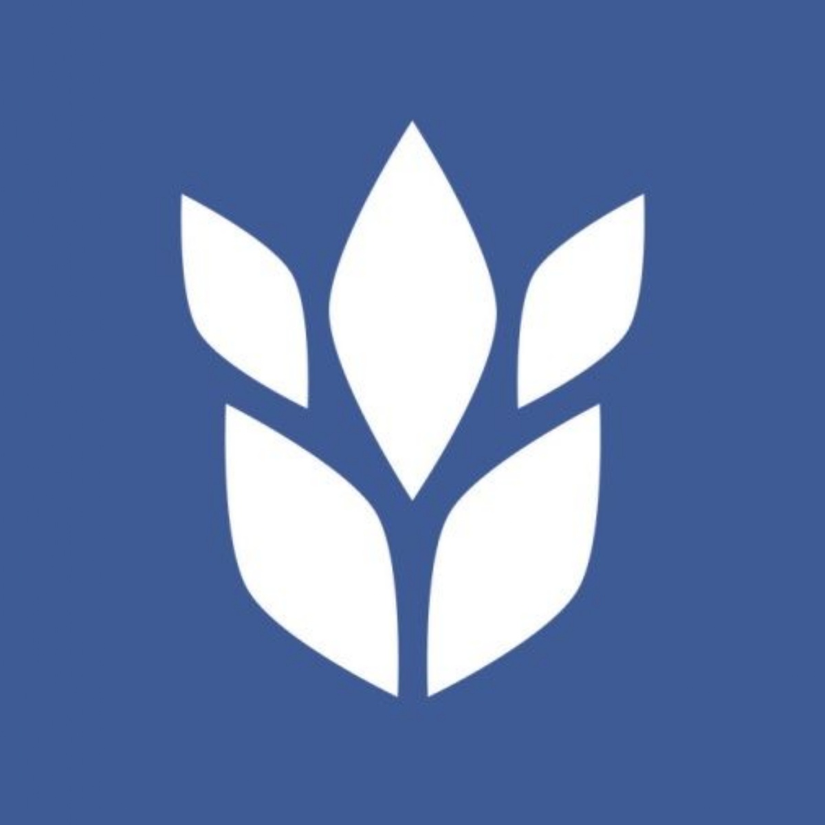 Woodbrook Vale School Wellbeing Resources For Parents woodbrook-vale-school-wellbeing-resources-for-parents